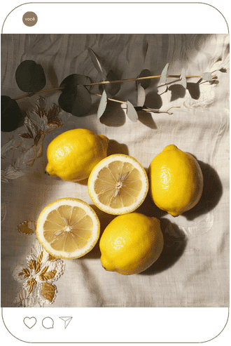 fotos-biblioteca-imagens-elegantes-lore-reis6.png